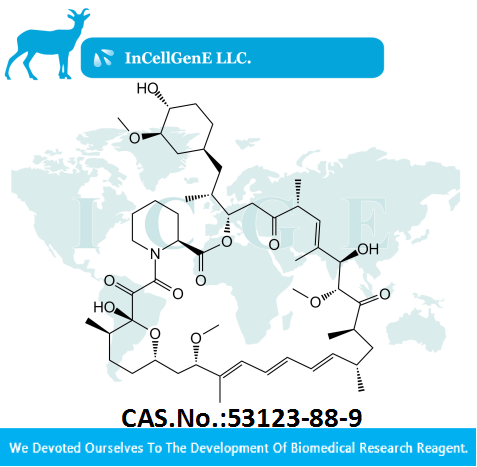 Rapamycin53123-88-9IC-011768